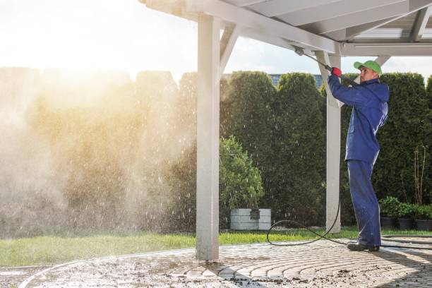 Best House Exterior Washing  in De Smet, SD